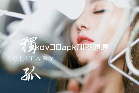 xkdv30apk加密通道